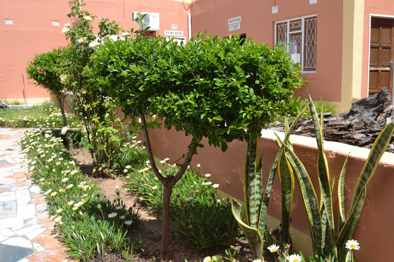 Seelo Guest Accommodation Letlhakane Extérieur photo